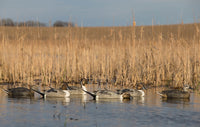 GHG Pro Grade Pintail Decoys